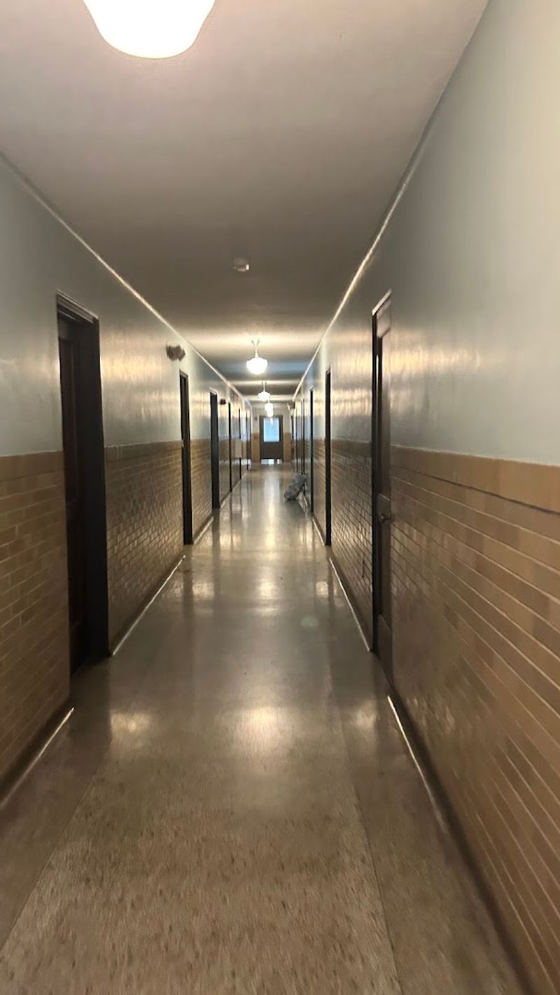 Shadowy Figures and Apparitions Reported by Visitors