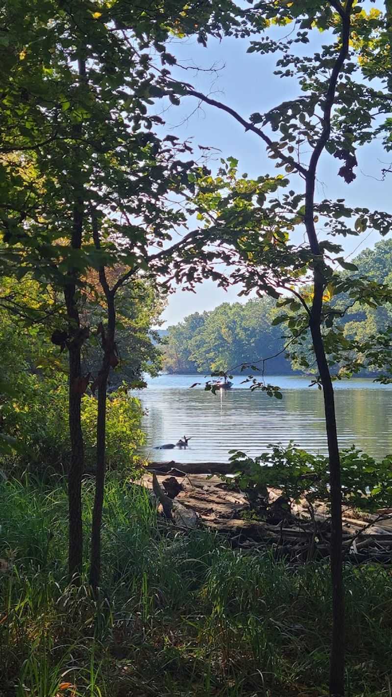 Shady Ridge Trail