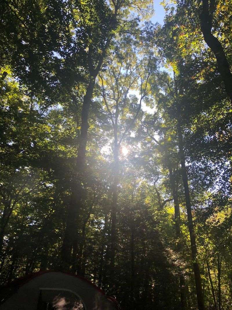 Shady Sites That Let You Exhale Shady Sites That Let You Exhale