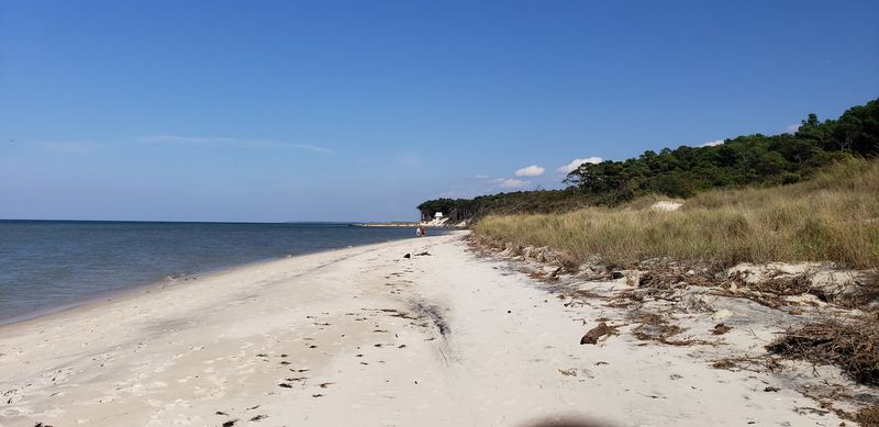 Shallow Chesapeake Bay Waters Perfect for Wading