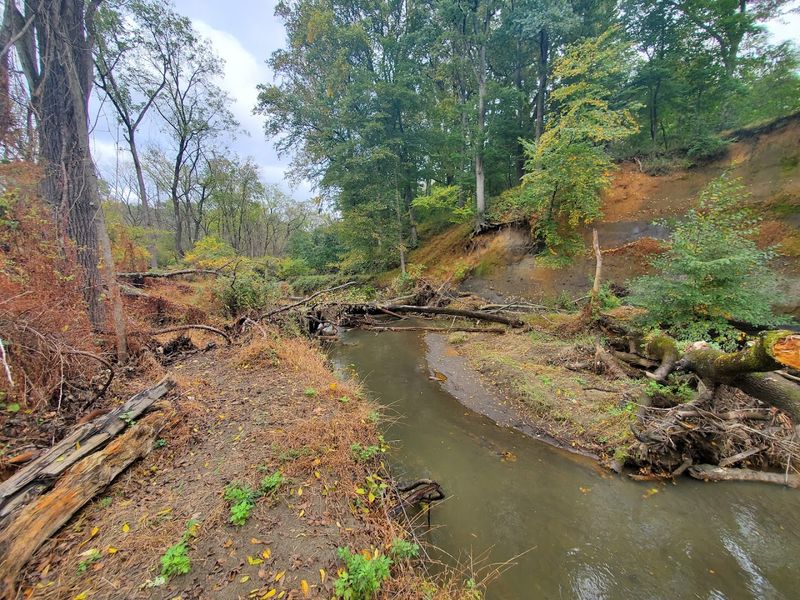 Shark River Park, New Jersey