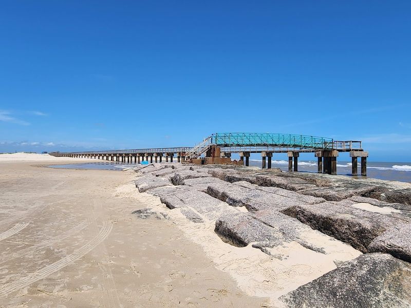 Shell Collecting and Beachcombing Done Right