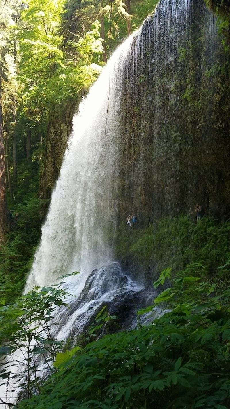 Silver Falls State Park, Nature's Crown Jewel Nearby