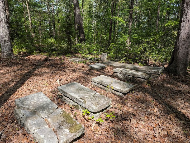 Sixty Graves, Countless Stories: What the Cemetery Actually Holds Sixty Graves, Countless Stories: What the Cemetery Actually Holds