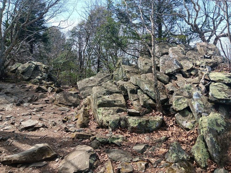 Skyline Drive Access and the Scenic Journey Up