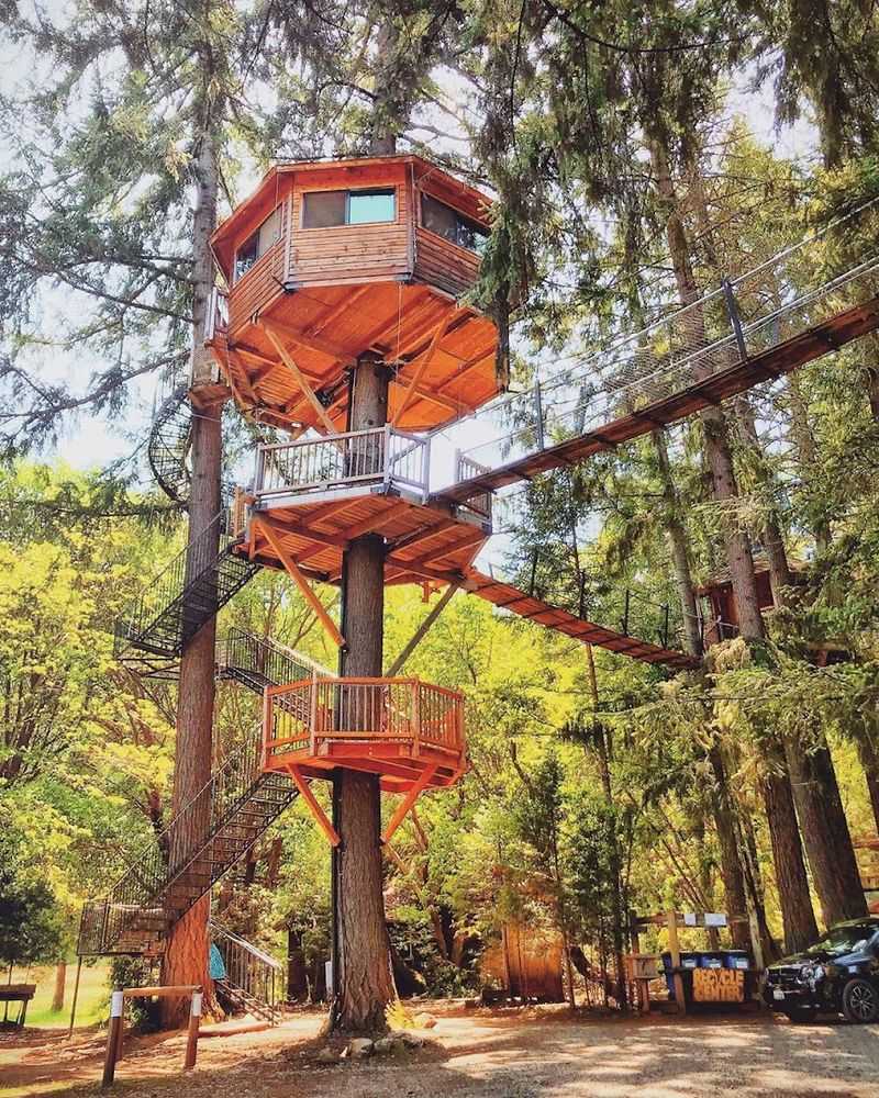Sleeping High Above the Ground in a One-of-a-Kind Treehouse