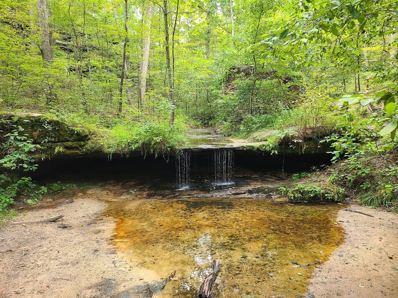 Small Waterfalls Bring the Landscape to Life After Rain