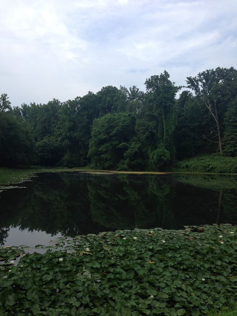 Smith Mountain Lake: Virginia's Largest Lake Has Zero Interest in Being Calm