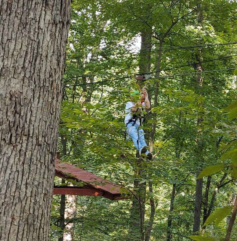 Soaring Over a Lake and Through a Dense Hardwood Canopy