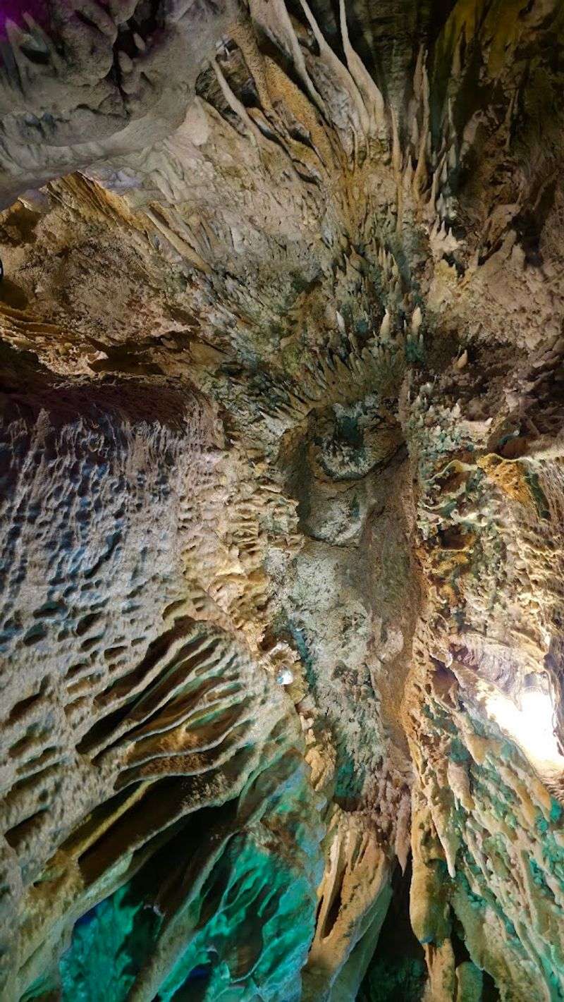 Soda Straws, Bacon Rinds, and the Vocabulary of Cave Science