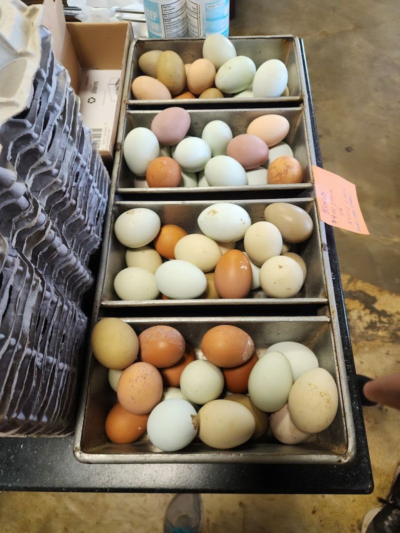 Soft-Serve Ice Cream, Regional Grocery Finds, and Farm-Fresh Eggs Round It All Out Soft-Serve Ice Cream, Regional Grocery Finds, and Farm-Fresh Eggs Round It All Out