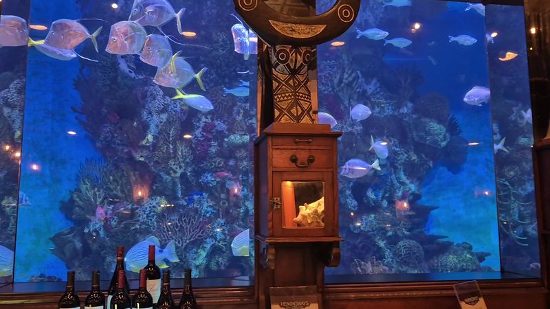 Sometimes Even The Tank Has A Live Show