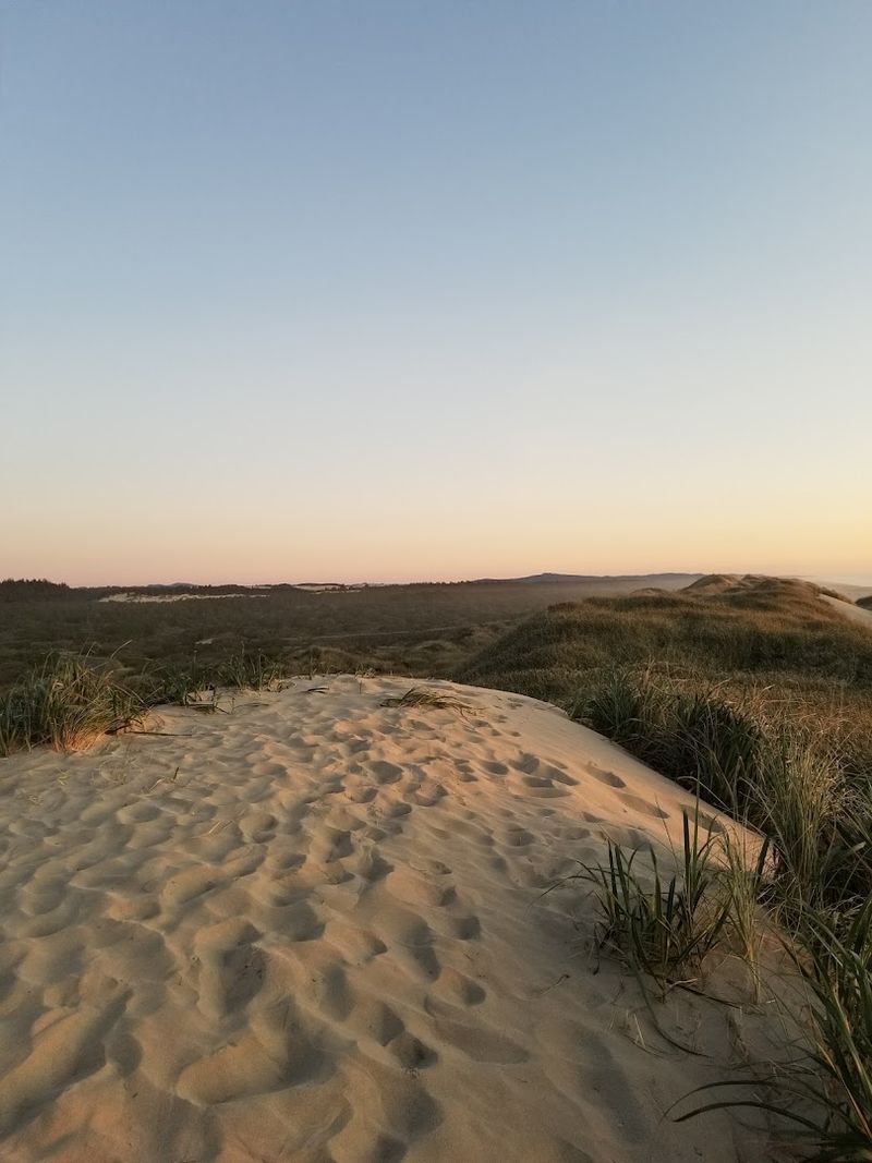 South Jetty Feels Big Fast