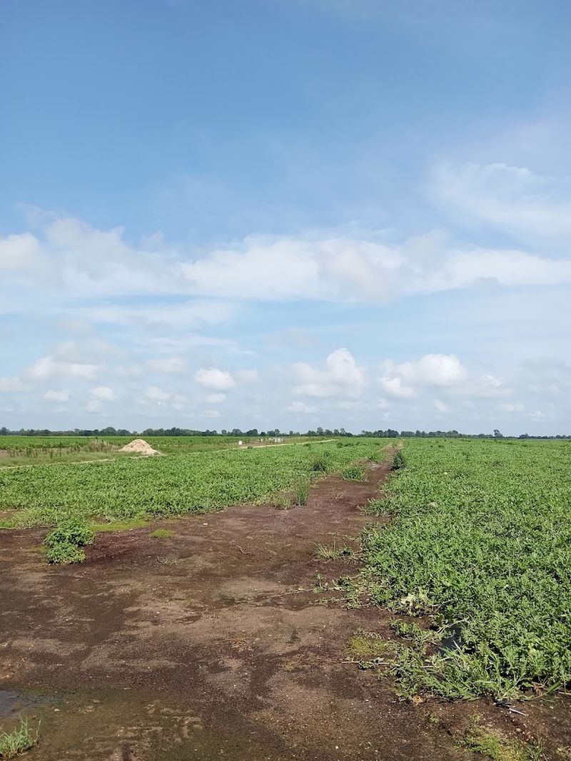 Southeast Missouri Has a Landscape Worth Exploring