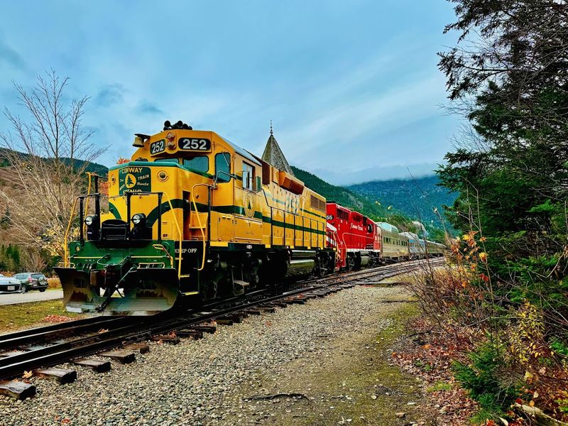 Specialty Excursions That Add a Playful Twist