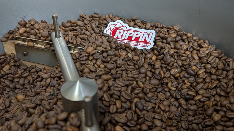 Specialty-Grade Beans That Redefine Your Morning Routine