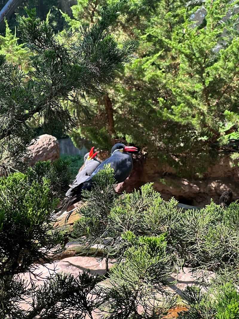 The Seabirds You Can Expect to See