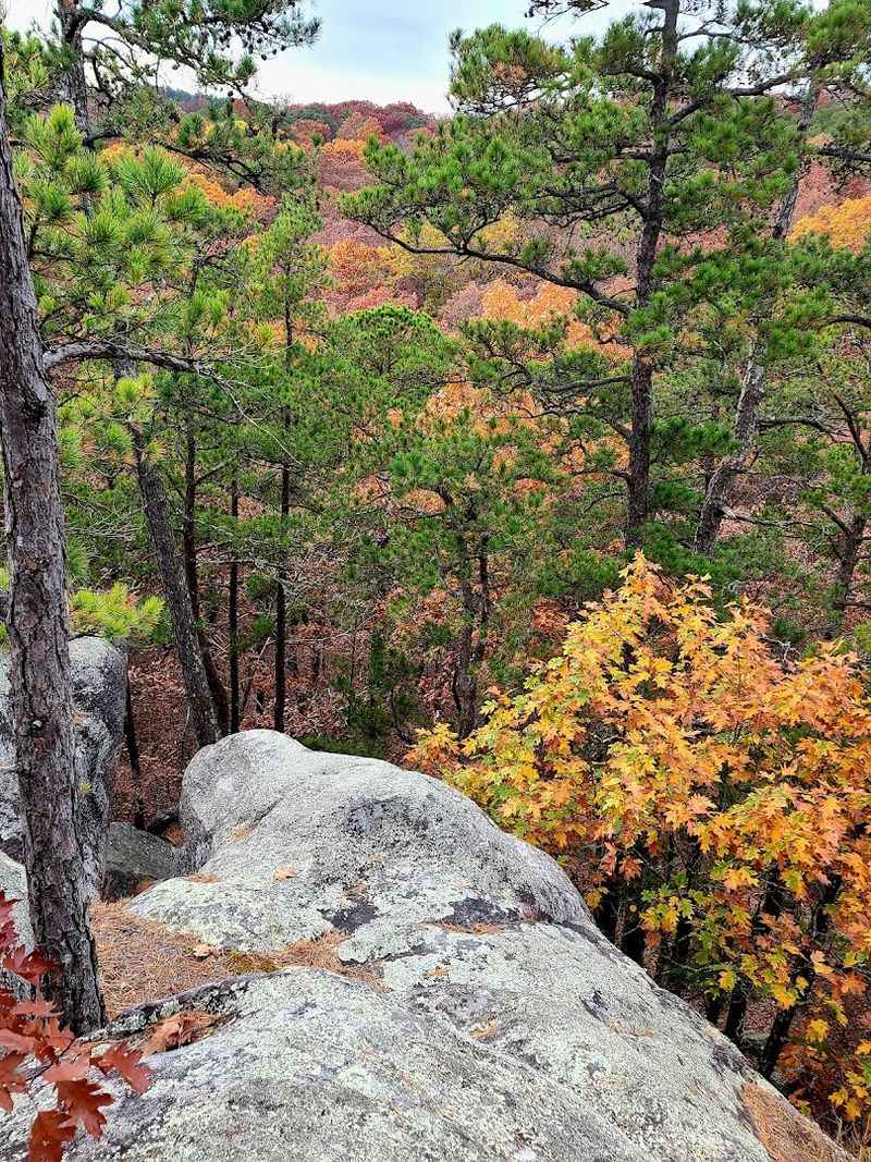 Spring and Fall Are the Best Seasons to Visit