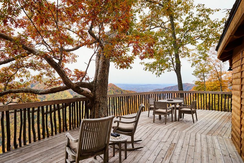 Stargazing from the Treetops: The Observatory and Night Sky Experience