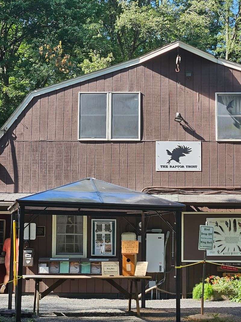 State-of-the-Art Medical Care Hidden in the New Jersey Woods