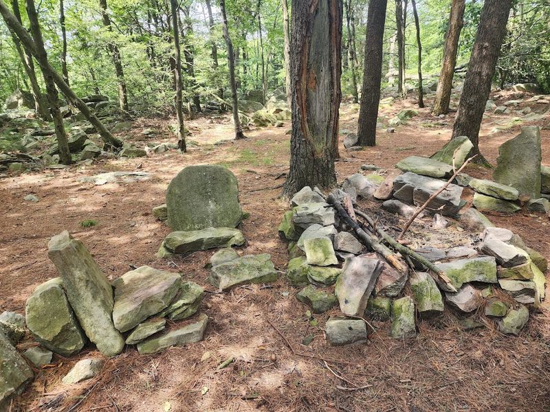 Staying Safe in New Jersey's Wild Backyard