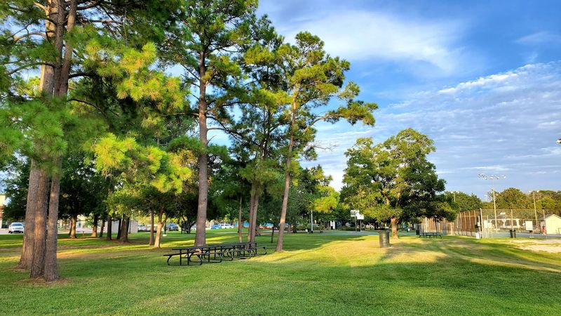 Stevenson Park, The Green Space That Makes It All Work Stevenson Park, The Green Space That Makes It All Work