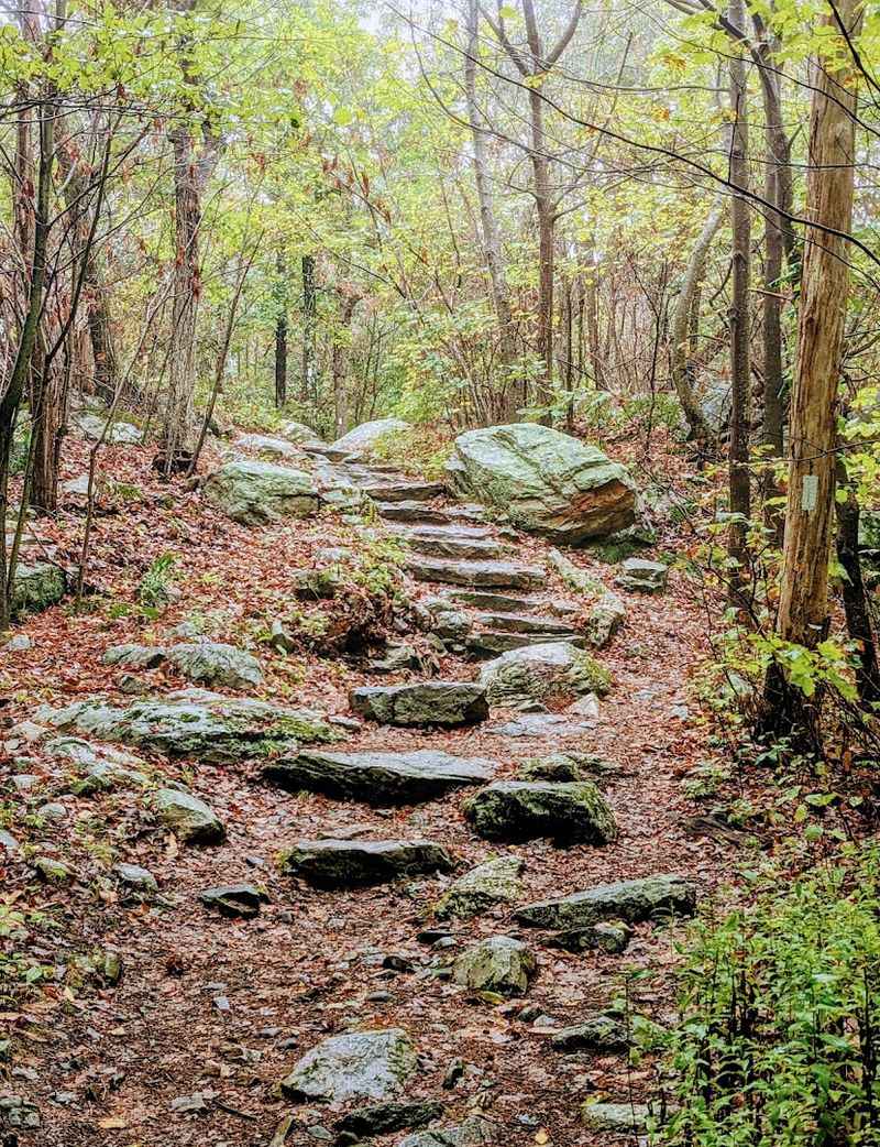 Stokes State Forest Shelters