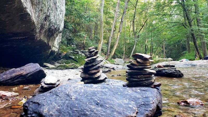Stone Foundation Ruins Along the Way, History Hidden in the Trees Stone Foundation Ruins Along the Way, History Hidden in the Trees