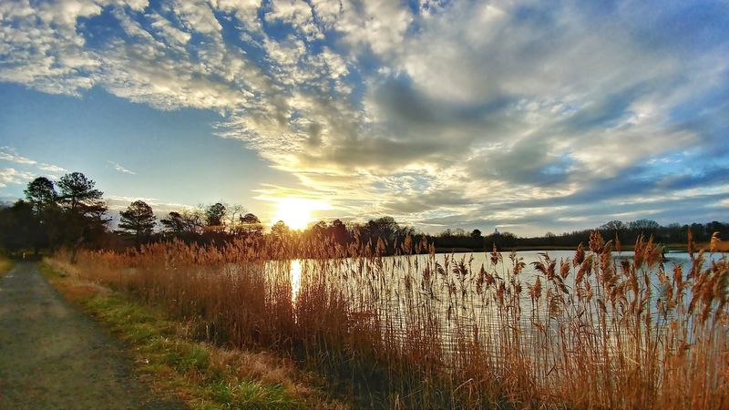 Stop Six: Terrapin Nature Park