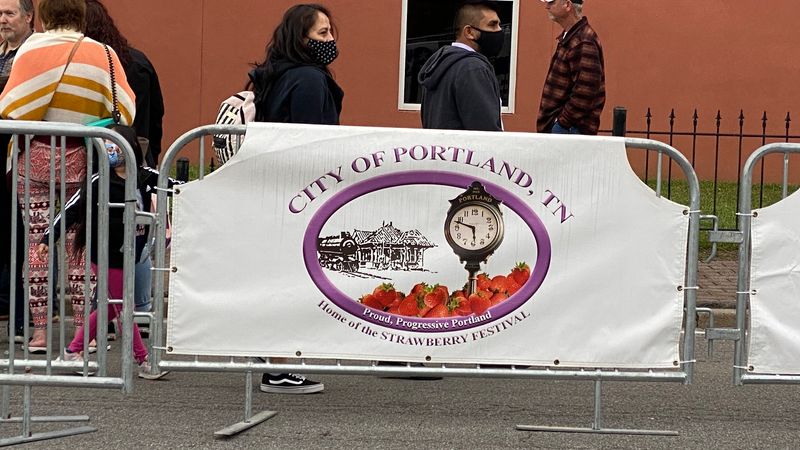 Strawberry Shortcake and the Sweet Heart of the Festival