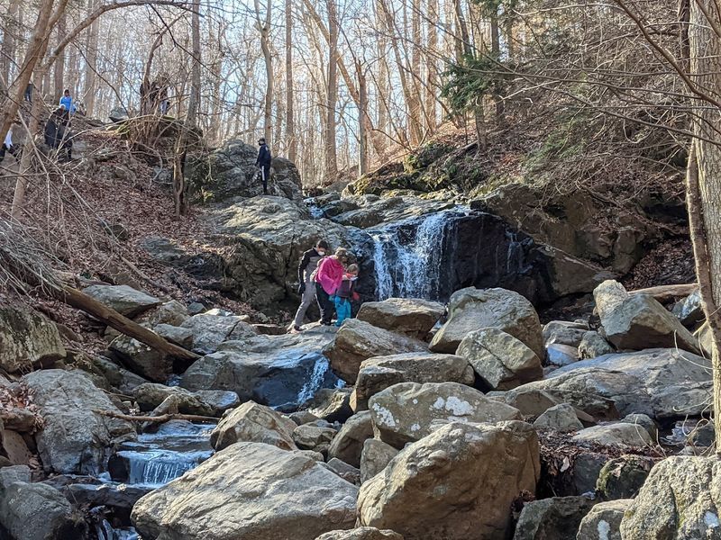Stream Crossings and Rock Hopping, the Trail's Playful Side
