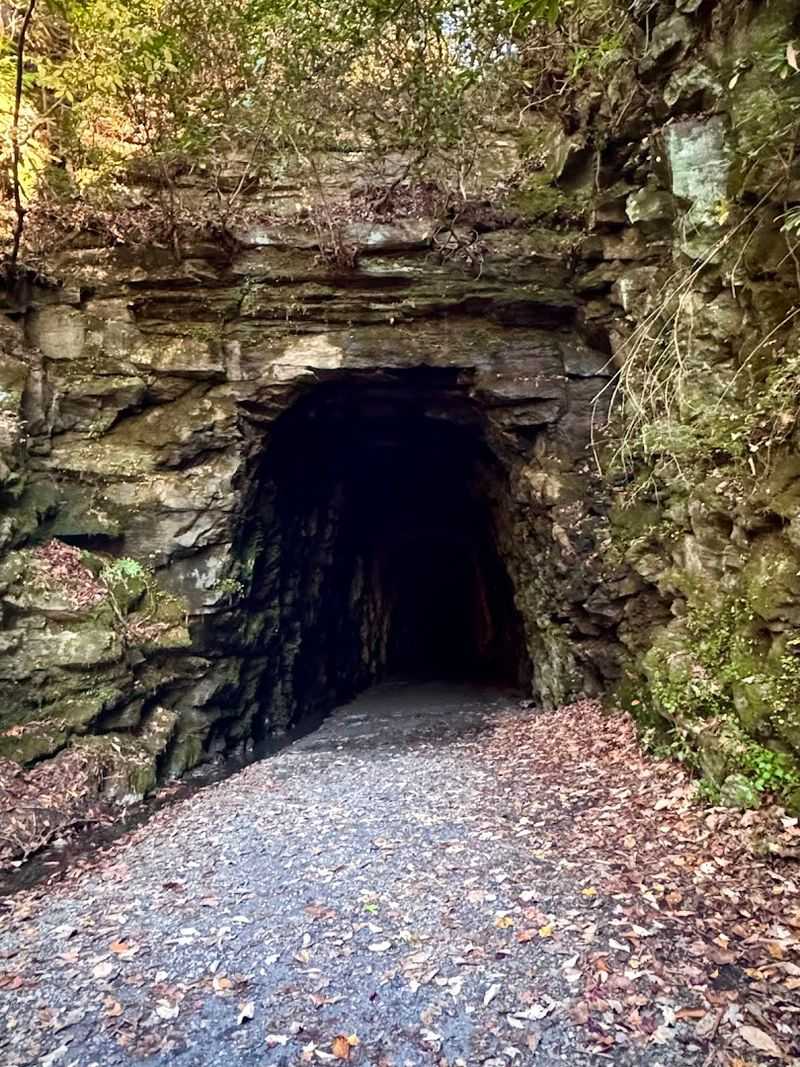 Stumphouse Tunnel (Oconee County)