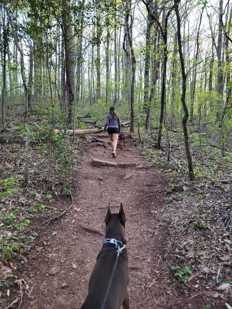 Accessible Hiking Trails For All Experience Levels