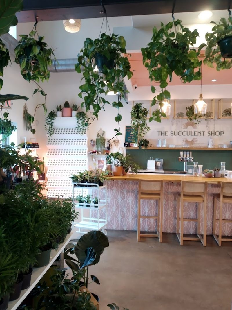 Succulents and Cacti Fill Every Corner