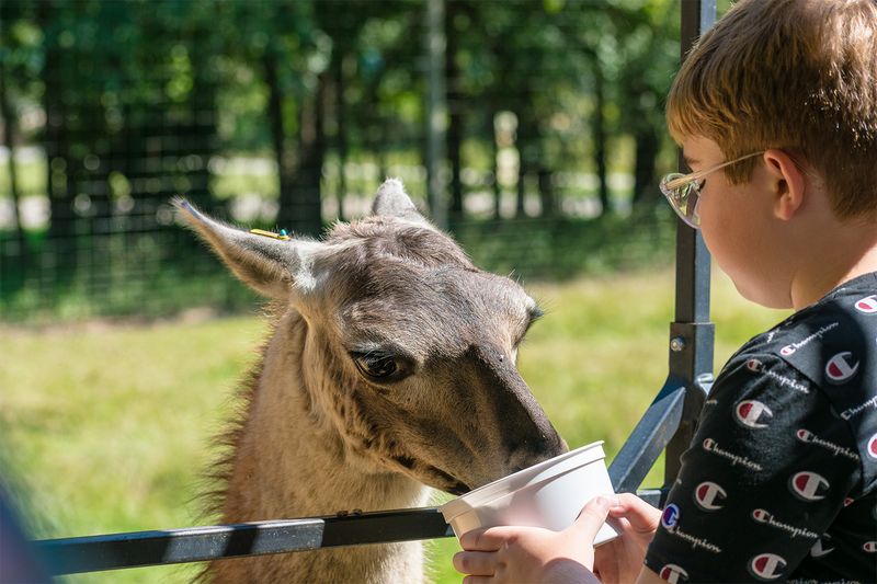 Support Real Wildlife Conservation With Every Visit