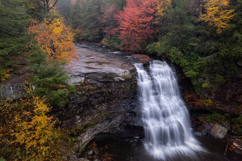 Swallow Falls State Park, Waterfalls, and Ancient Trees Swallow Falls State Park, Waterfalls, and Ancient Trees