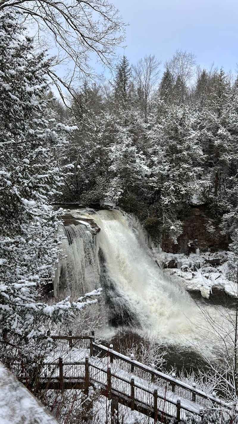 Swallow Falls State Park