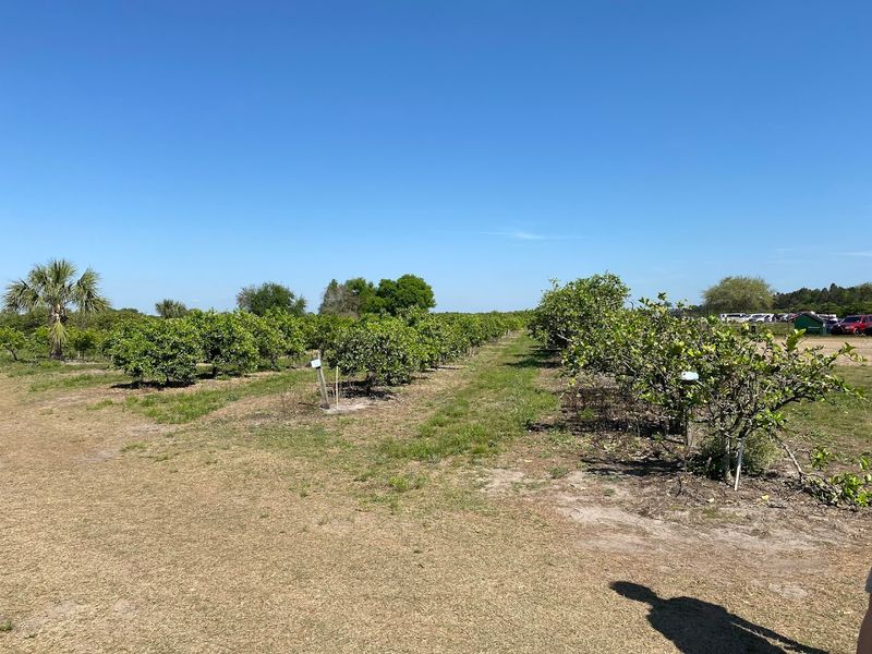 Why This Farm Feels Like a Living Piece of Florida