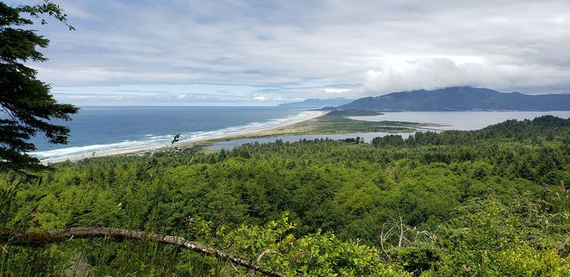 Sweeping Ocean Views From the Headland