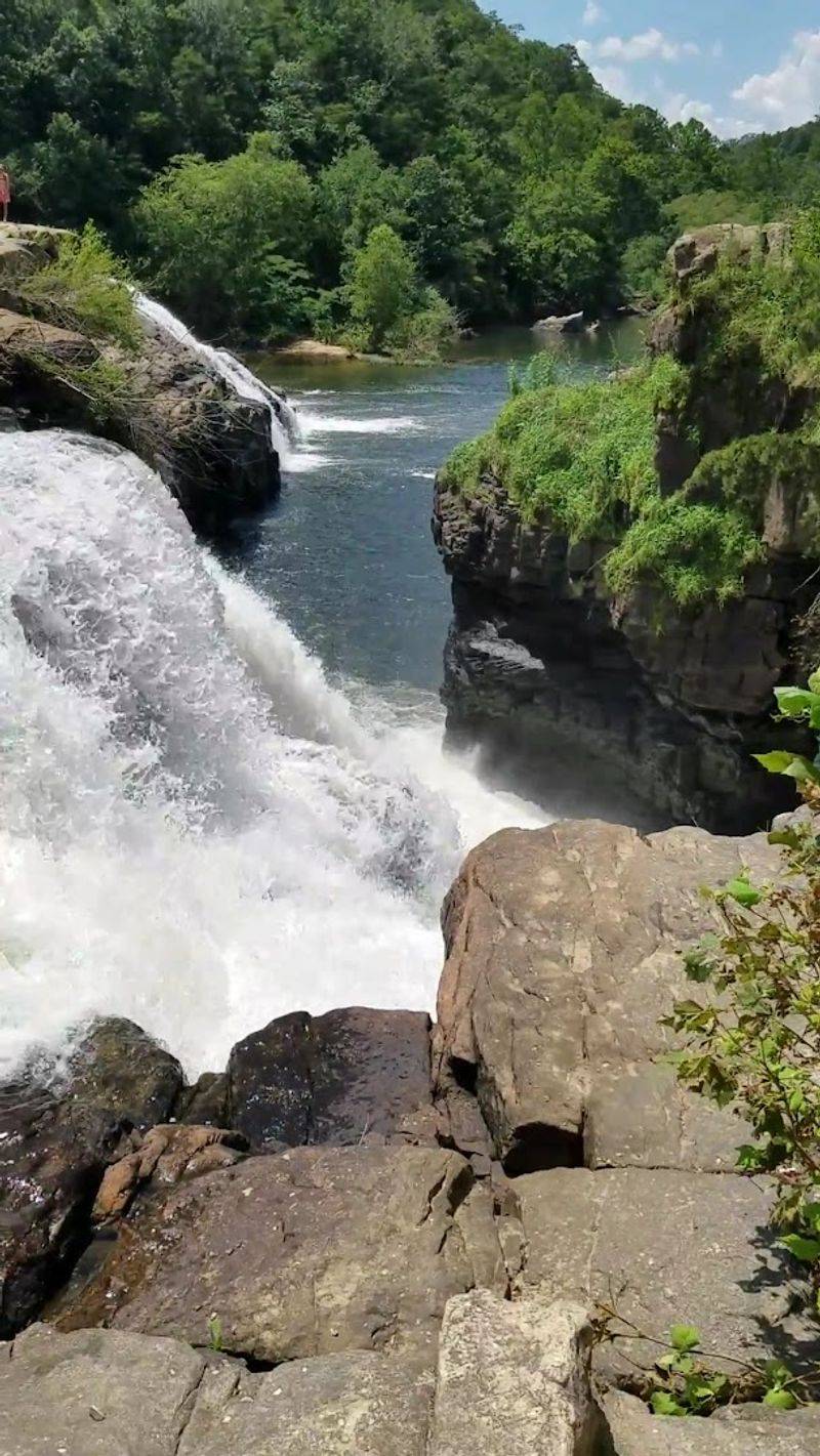 Swimming, Wading, And Jumping At The Falls