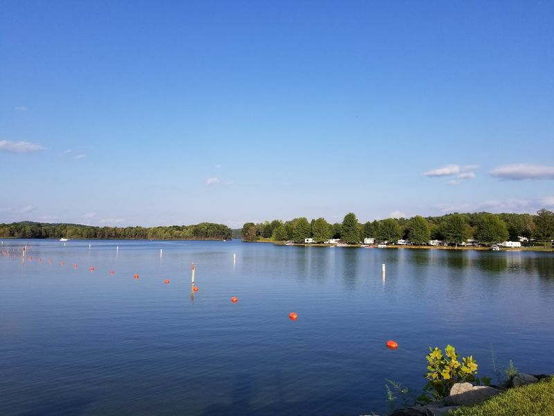Swimming and Beach Days at the Lake