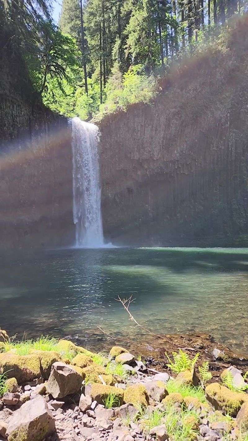 Swimming and Wading at the Base of the Falls