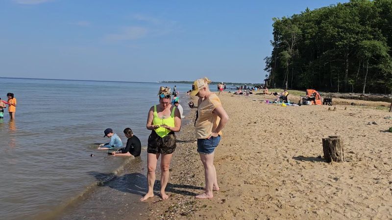 Swimming in the Chesapeake Bay