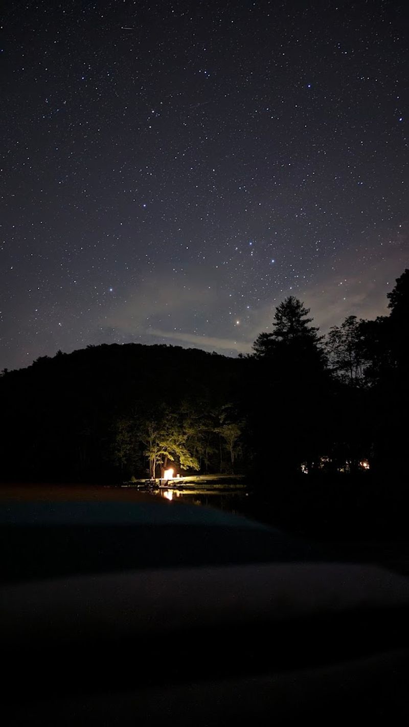 Synchronous Fireflies and the Summer Night Magic You Did Not Expect