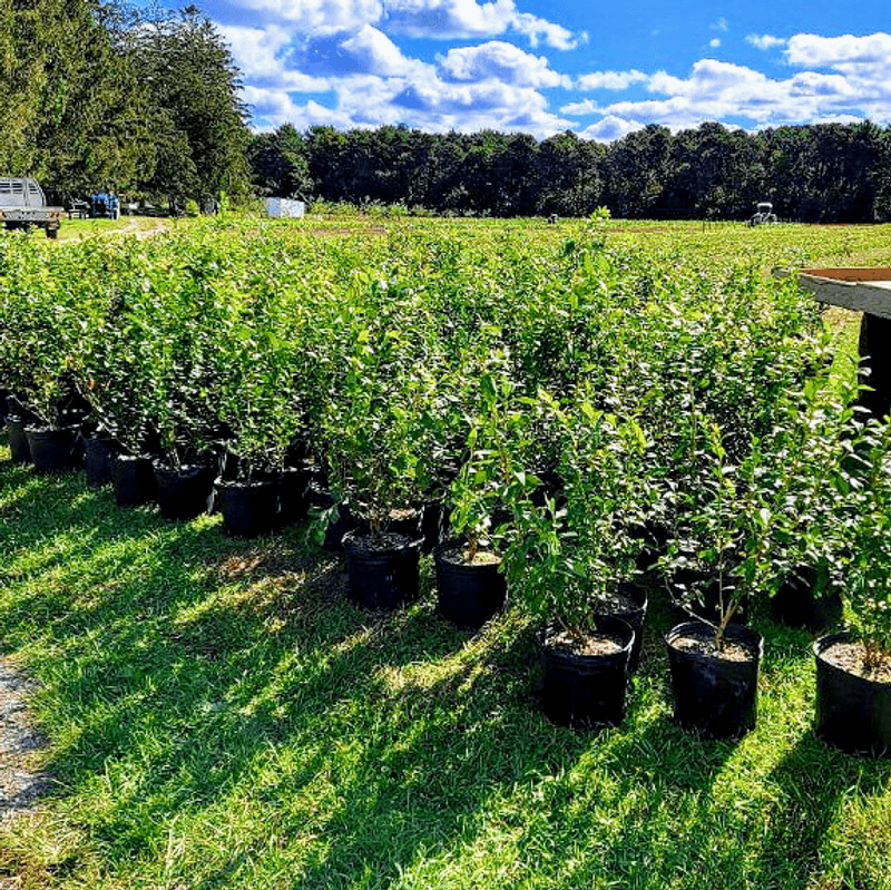 Take the Farm Home With You