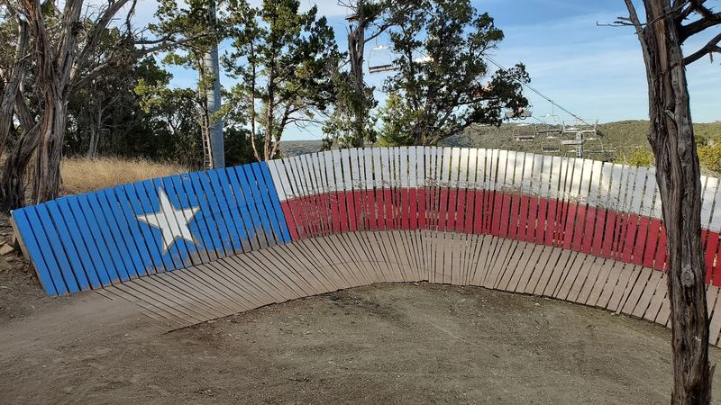 Tarantula, Where Wood Meets the Texas Flag Tarantula, Where Wood Meets the Texas Flag