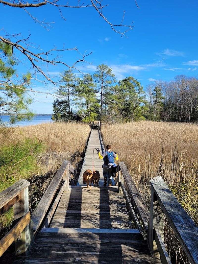 Taskinas Creek Trail, York River State Park