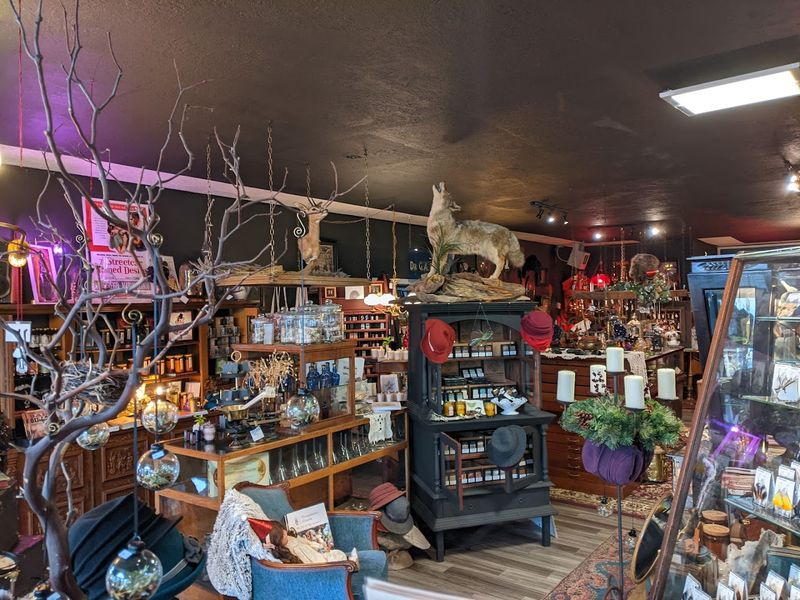 Taxidermy and Natural Specimens on Full Display