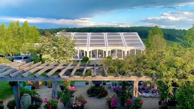 The 1,000-Acre Tree Nursery That Makes Everything Possible The 1,000-Acre Tree Nursery That Makes Everything Possible