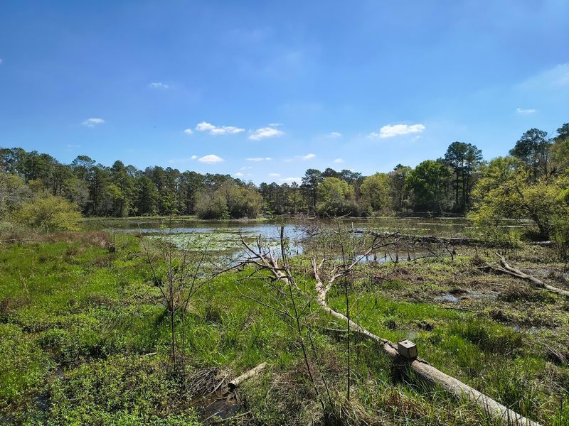 The 12000-Acre Urban Wilderness That Surprises Everyone